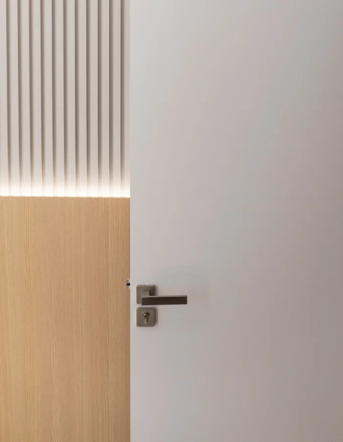 Healthcare collection — TM Doors — Door leaf and handle detail.